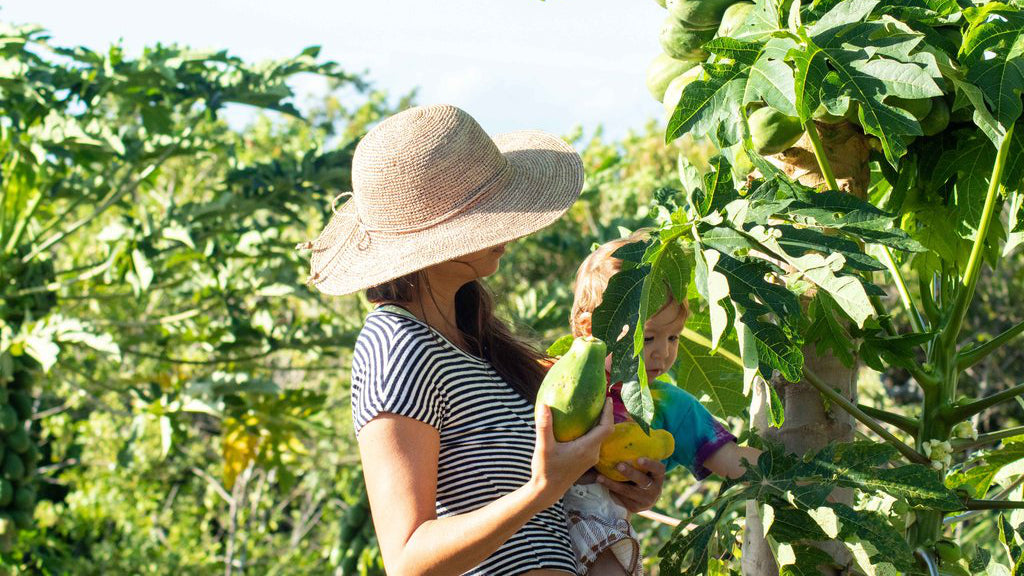 Hawaiian Culture: Traditions & Customs