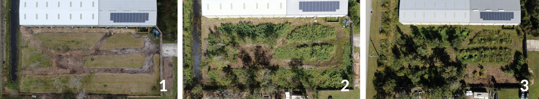Permaculture St Augustine FL: Food Forest – Conner Hats